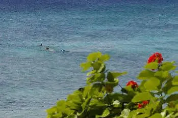 Kura Hulanda Lodge & Beach Club Westpunt